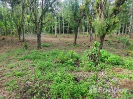  Terreno (Parcela) en venta en Costa Rica, Siquirres, Limón, Costa Rica