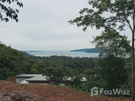 ขายที่ดิน ใน ตลิ่งงาม, สุราษฎร์ธานี, ตลิ่งงาม