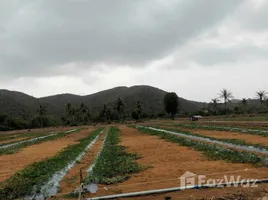  토지을(를) FazWaz.co.kr에서 판매합니다., Pak Nam Pran, 프랜 부리, Prachuap Khiri Khan, 태국