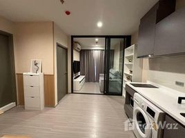 1 Schlafzimmer Appartement zu vermieten im Life Asoke Hype, Makkasan