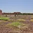  Land for sale in Loudaya, Marrakech, Loudaya