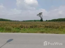 ขายที่ดิน ใน นิคมพัฒนา, ระยอง, นิคมพัฒนา