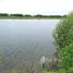  Land for sale in Phanthai Norasing, Samut Sakhon, Phanthai Norasing, Mueang Samut Sakhon, Samut Sakhon