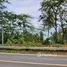  Land for sale in Phuket, Thep Krasattri, Thalang, Phuket