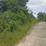  Land for sale in Koh Samui Surat Thani, Bo Phut, Koh Samui