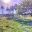  Terreno (Parcela) en venta en Puerto Plata, San Felipe De Puerto Plata
