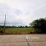  Земельный участок for sale in Chak Bok, Районг, Chak Bok, Ban Khai, Районг
