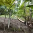  Grundstück zu verkaufen in Mataasnakahoy, Calabarzon, Mataasnakahoy