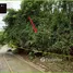  Land for sale in Phuket Town Phuket, Chalong, Phuket Town, Phuket