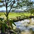  토지을(를) FazWaz.co.kr에서 판매합니다., Choeng Doi, Doi Saket, 치앙마이, 태국