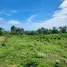 Terrain à vendre à San Felipe De Puerto Plata, Puerto Plata, San Felipe De Puerto Plata