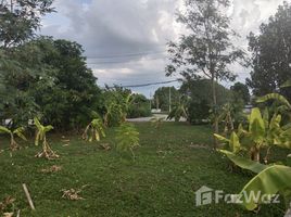 在讪柿, 清迈出售的 土地, San Sai Luang, 讪柿