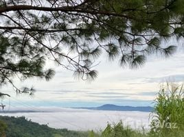  Terrain for sale in Thaïlande, Khao Kho, Khao Kho, Phetchabun, Thaïlande