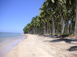 Terrain for sale in le Philippines, Quezon, Palawan, Mimaropa, Philippines
