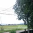  Land for sale in Rong Wua Daeng, Chiang Mai, Rong Wua Daeng