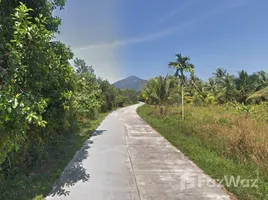  Grundstück zu verkaufen in Koh Phangan, Surat Thani, Koh Phangan, Koh Phangan, Surat Thani