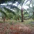  Земельный участок for sale in Khao Thong, Краби, Khao Thong