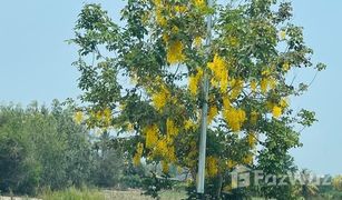 N/A Land for sale in Sam Phraya, Phetchaburi 