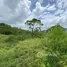  Land for sale in San Ramon Alajuela, San Ramon, Alajuela, Costa Rica