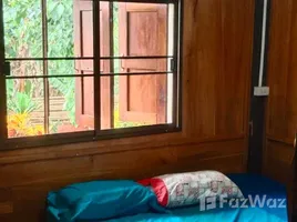 3 спален Дом for rent in Samoeng Nuea, Чианг Маи, Samoeng Nuea, Самоен, Чианг Маи