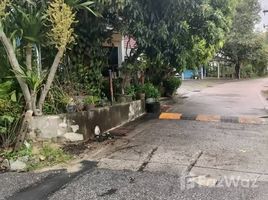  Grundstück zu verkaufen in Thalang, Phuket, Choeng Thale