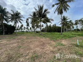 ขายที่ดิน ใน ไม้ขาว, ภูเก็ต, ไม้ขาว