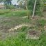  Tanah for sale in Ubud, Gianyar, Ubud