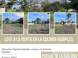  Terrain for sale in Pococi, Limon, Pococi