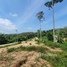  Land for sale in AsiaVillas, Choeng Thale, Thalang, Phuket, Thailand