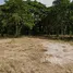  Grundstück zu verkaufen in Nong Kae, Hua Hin, Nong Kae, Hua Hin, Prachuap Khiri Khan
