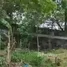  Terreno (Parcela) en venta en Rainbow Village , Caloocan City