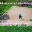  Земельный участок for sale in Choeng Noen, Районг, Choeng Noen