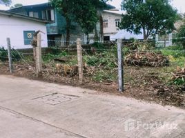 ขายที่ดิน ใน เวียง, เชียงราย, เวียง, เชียงของ