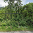  Land for sale in Kathu, Phuket, Kamala, Kathu