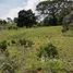  Terreno (Parcela) en venta en Perez Zeledon Airport, Pérez Zeledón, Pérez Zeledón
