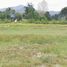  Земельный участок for sale in Khao Phra, Nakhon Nayok, Khao Phra, Mueang Nakhon Nayok, Nakhon Nayok