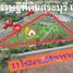  Земельный участок for sale in Khao Din, Saraburi, Khao Din, Nong Saeng