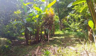 N/A Land for sale in Tham Nam Phut, Phangnga 