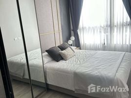 1 Bedroom Condo for rent at KnightsBridge Prime On Nut, Phra Khanong Nuea, Watthana, Bangkok, Thailand