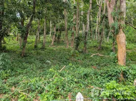 タイ で売却中 物件, Taling Ngam, サムイ島, Surat Thani, タイ