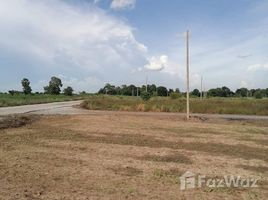  Land for sale in Thailand, Noen Kham, Noen Kham, Chai Nat, Thailand