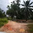  Land for sale in Krabi, Phela, Khlong Thom, Krabi