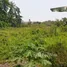 在印度尼西亚 / 印度尼西亞出售的 土地, Cengkareng, Jakarta Barat, 雅加达, 印度尼西亚 / 印度尼西亞