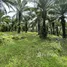  Land for sale in Pa Khlok, Phuket, Pa Khlok, Thalang