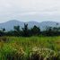  Land for sale in Tha Khoei, Suan Phueng, Tha Khoei