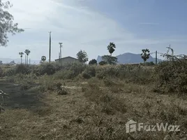 ขายที่ดิน ใน ชะอำ, เพชรบุรี, ชะอำ, ชะอำ, เพชรบุรี