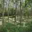 ขายที่ดิน ใน บางไทร, พังงา, บางไทร, ตะกั่วป่า