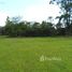  Land for sale in Ararica, Rio Grande do Sul, Ararica, Ararica