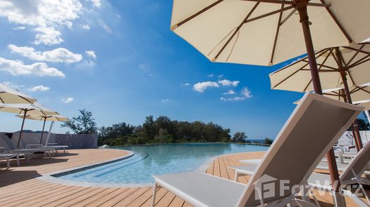 รูปถ่าย 1 of the สระว่ายน้ำ at ซเล มิโอ บูติค โฮเทล แอนด์ เวลเนส