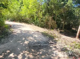 Grundstück zu verkaufen in Koh Phangan, Surat Thani, Koh Tao